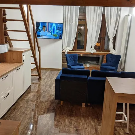 Ultra-central In The Dauerbach Palace Apartment Timisoara