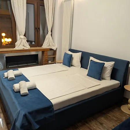 Ultra-central In The Dauerbach Palace Apartment Timişoara