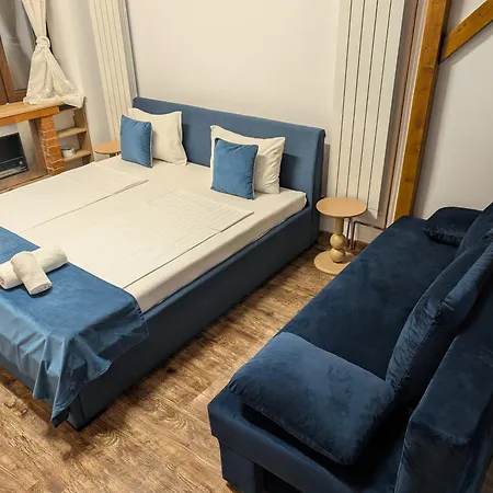 Ultra-central In The Dauerbach Palace Apartment Timişoara