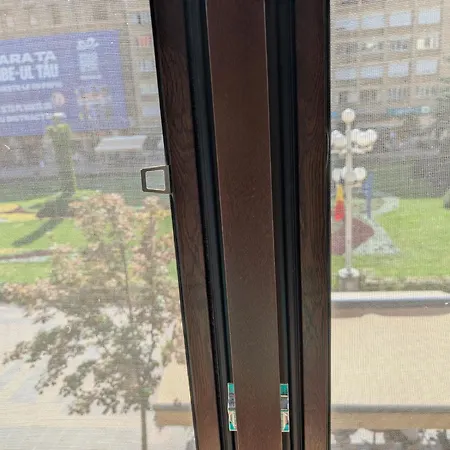 Lägenhet Ultra-central In The Dauerbach Palace Timişoara